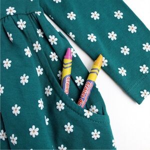 Ruffle Butts teal buds knit sleeve twirl dress 6-12mo with pockets